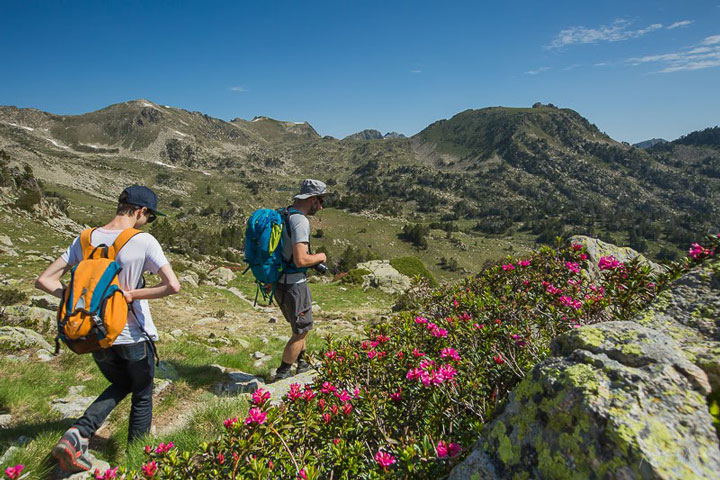 Randonnée et sensibilisation à la faune et flore dans les Pyrénées. Propriété de Pyrénées Trekking l'Agence Outdoor