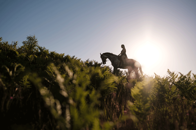 balade cheval coucher de soleil occitanie