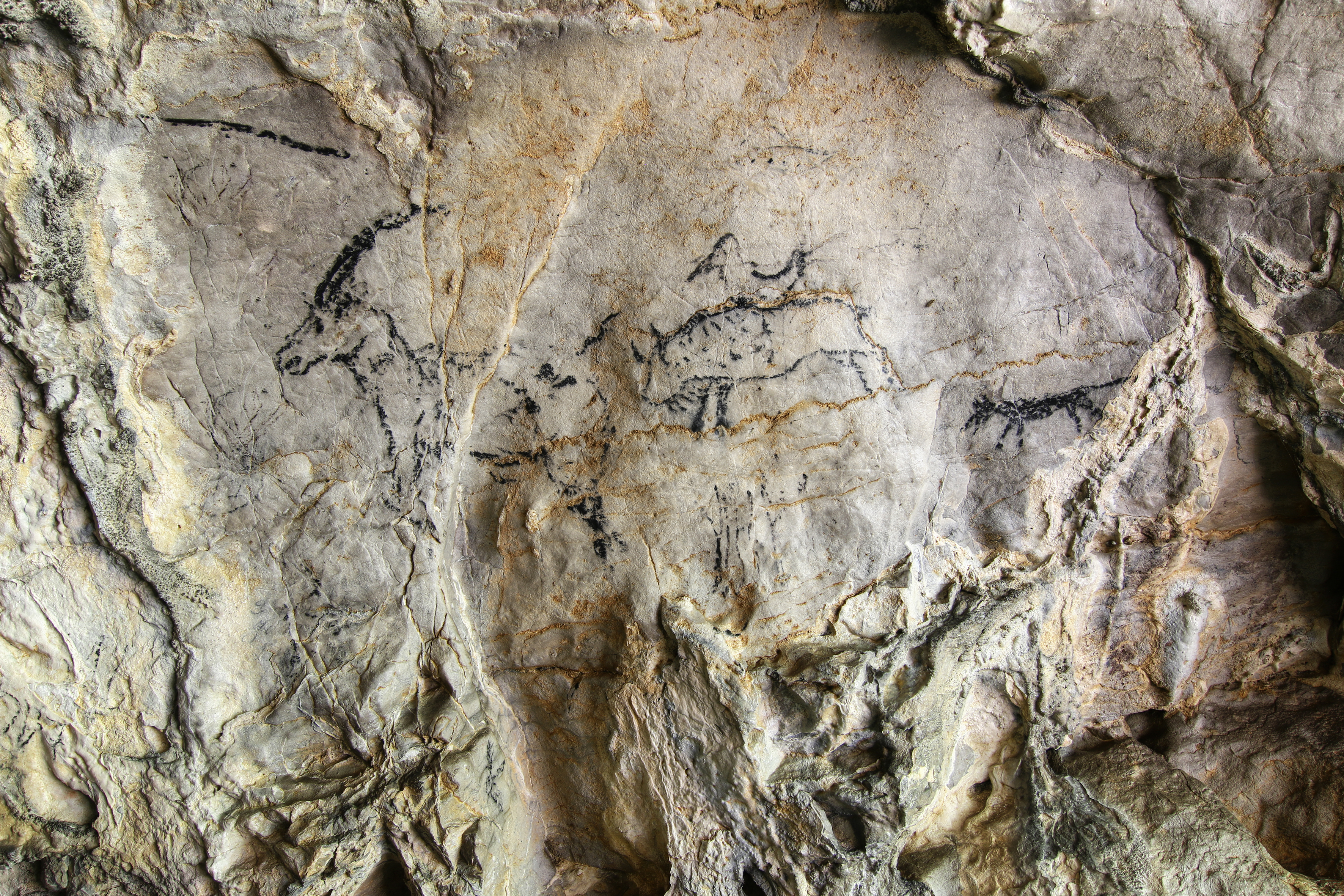 grotte de niaux occitanie